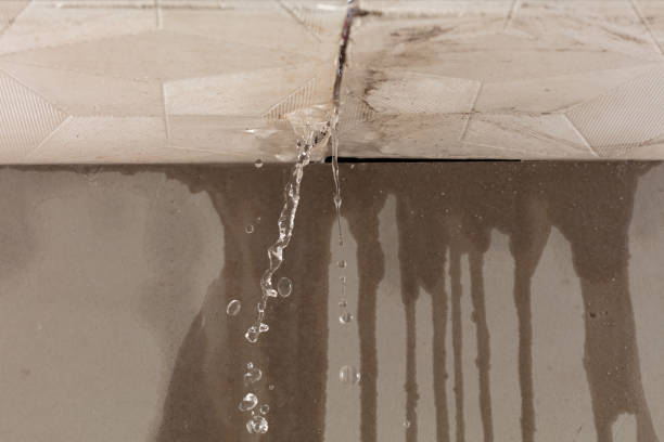 Professional Water Damage Repair technician working in Elm Mott, TX